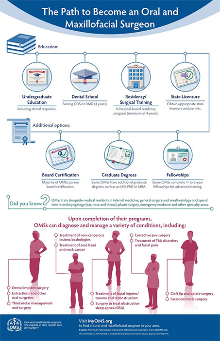 the path to become an oral surgeon graphic